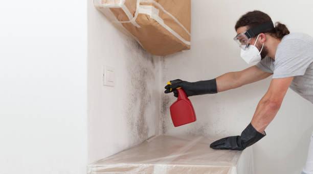Professional Crawl Space Mold Remediation technician working in Garrett, WA