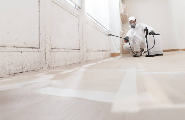 24/7 Emergency Crawl Space Mold Remediation experts in Garrett, WA