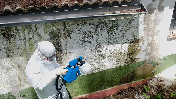 Top rated local Crawl Space Mold Remediation specialists in Garrett, WA